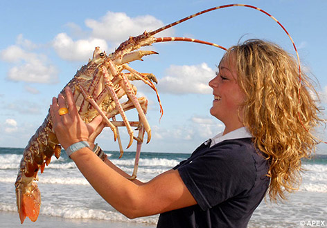 Poseidon lobster.jpg